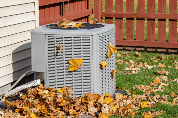 Best HVAC tune-up services  in Crystal, MN
